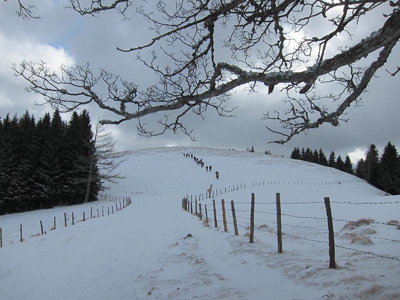 teichalm
